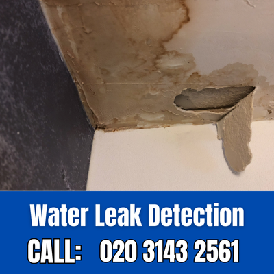 Expert Water Leak Detection Services in Hextable | Hextable Leak Detection